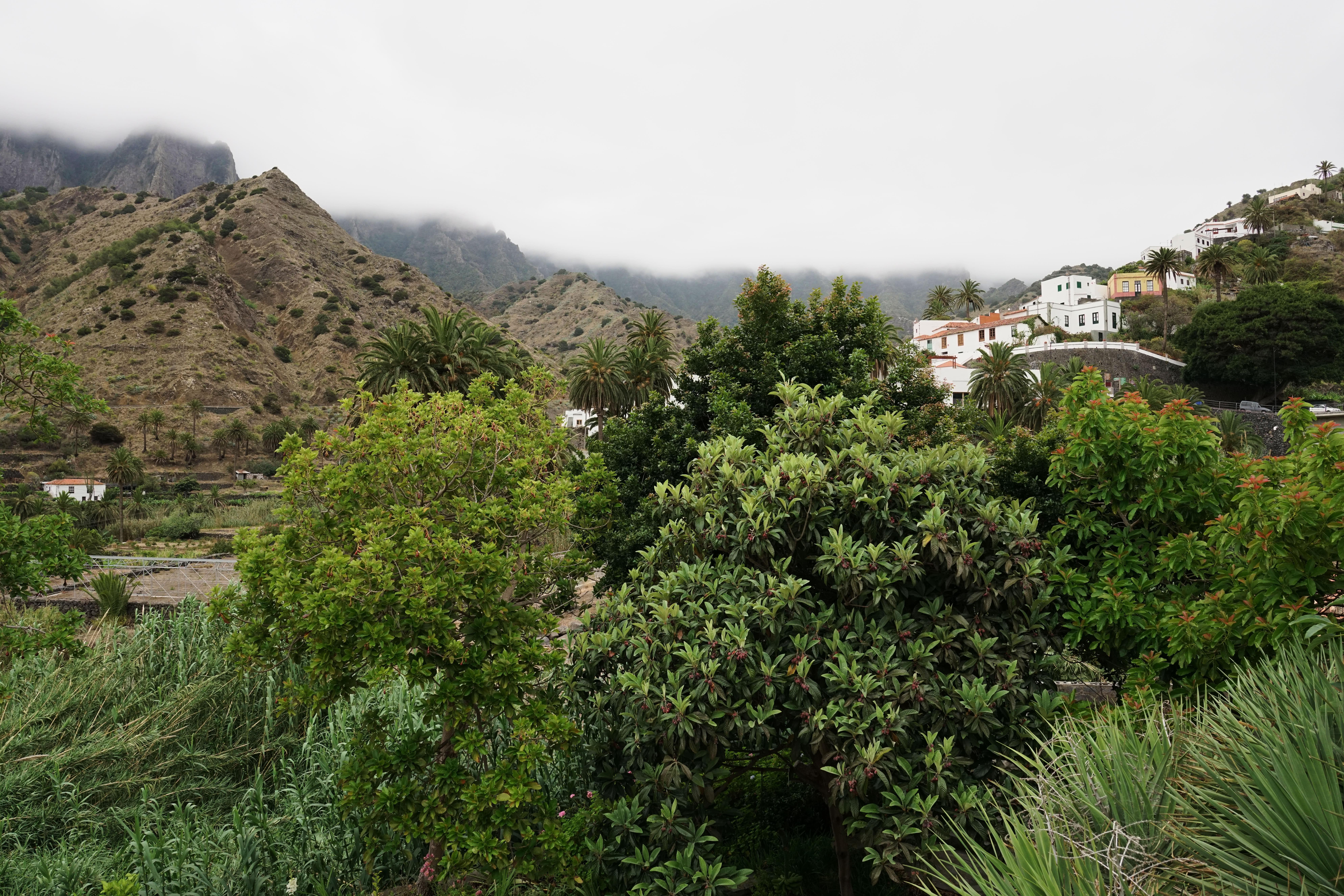 Finca Pinero Hermigua Exterior photo